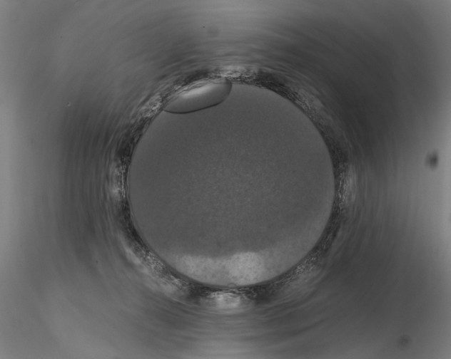 X0000114640272200912011056