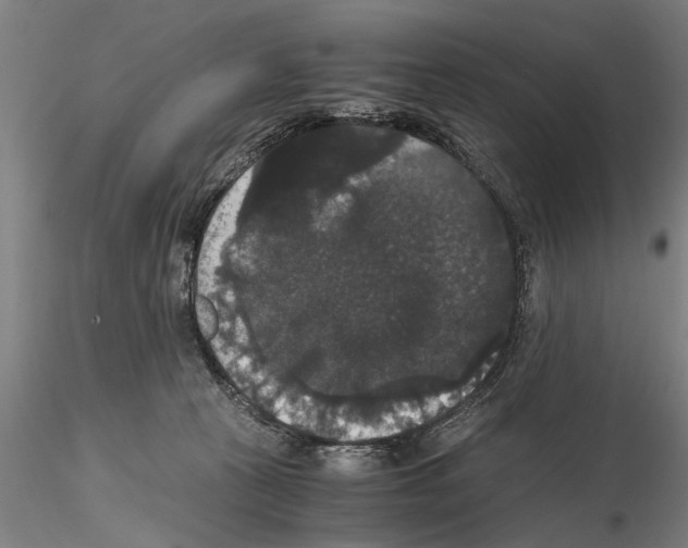 X0000114640273200912011056