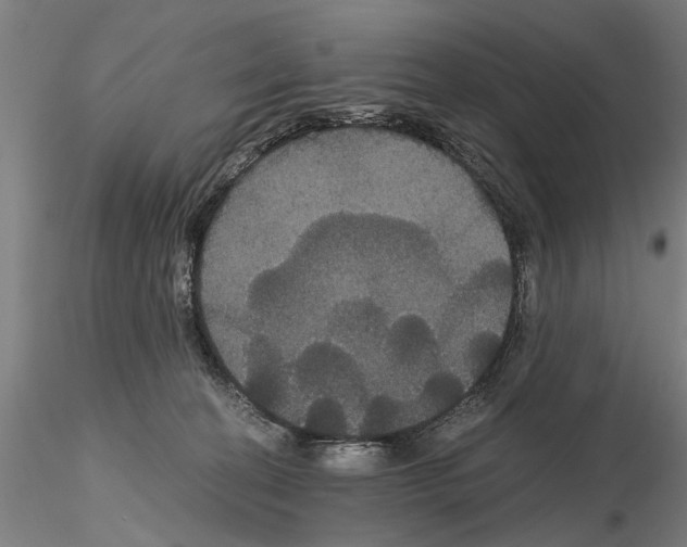 X0000114640274200912011056