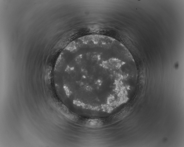 X0000114640275200912011056