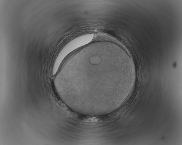 X0000114640276200912011056