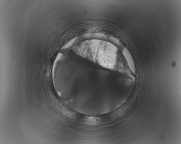 X0000114640277200912011056