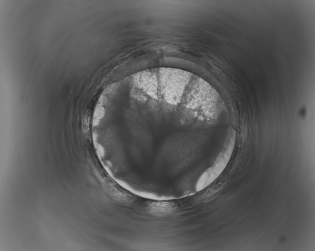 X0000114640281200912011056