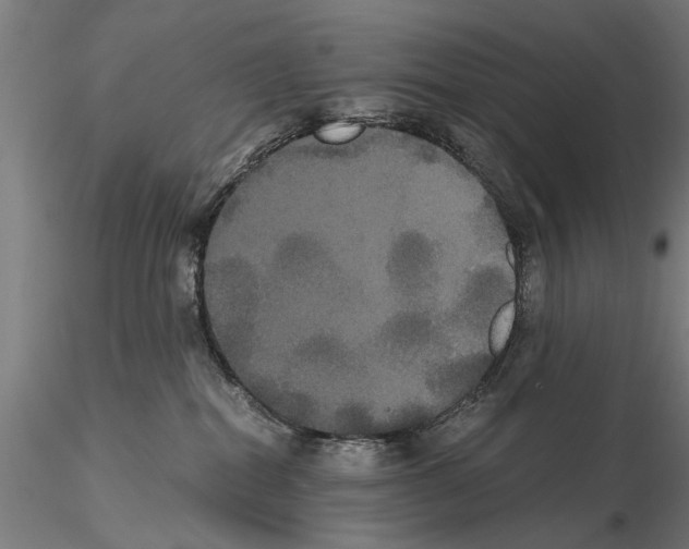 X0000114640282200912011056