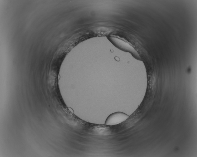 X0000114640283200912011056