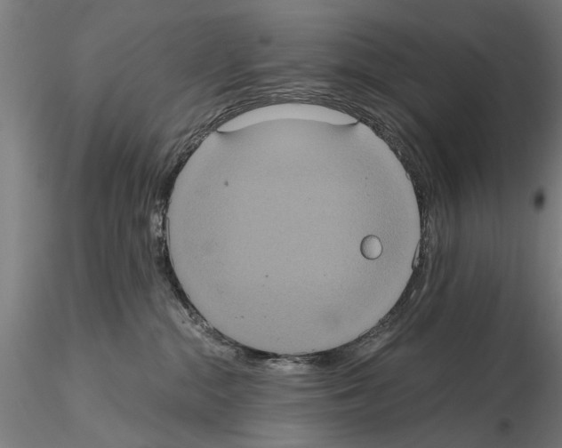 X0000114640284200912011056