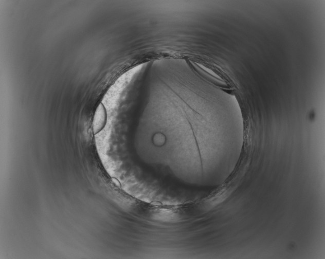 X0000114640285200912011056