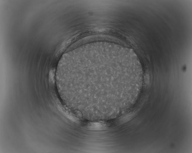 X0000114640286200912011056