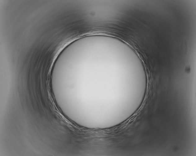 X0000114640289200912011055