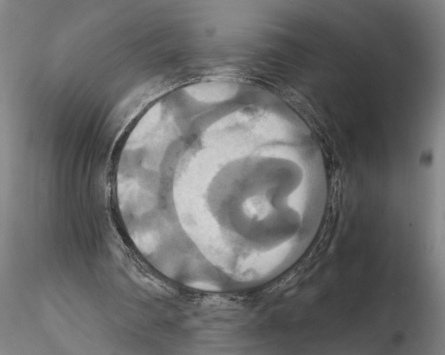 X0000114640290200912011055