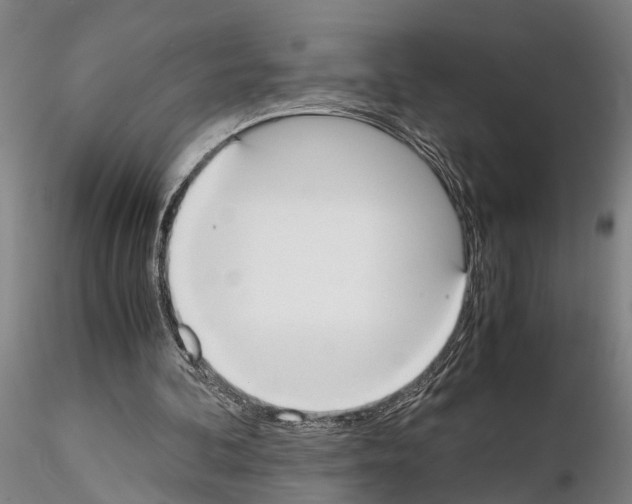 X0000114640292200912011055