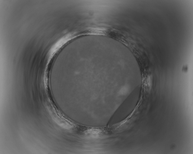 X0000114640294200912011055