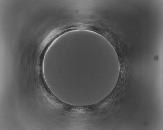 X0000114640295200912011055