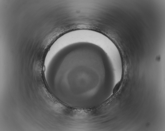 X0000114640297200912011055