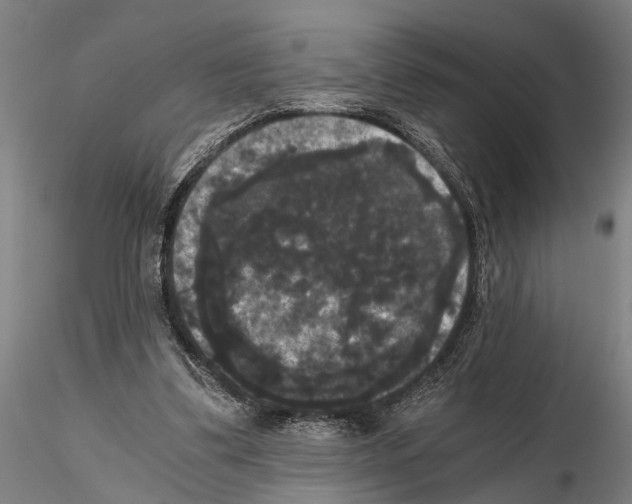 X0000114640299200912011055