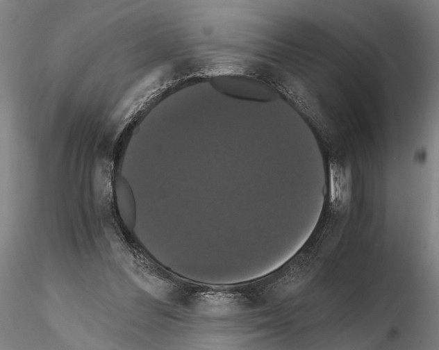 X0000114640300200912011055