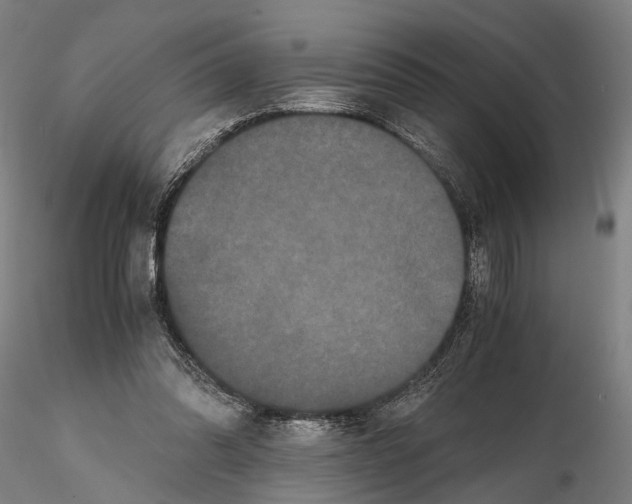 X0000114640302200912011055