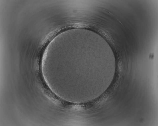 X0000114640303200912011055