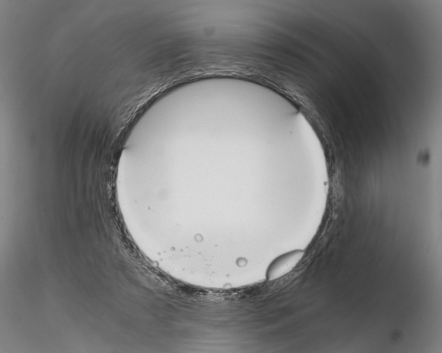 X0000114640305200912011055