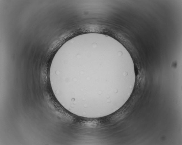 X0000114640306200912011055