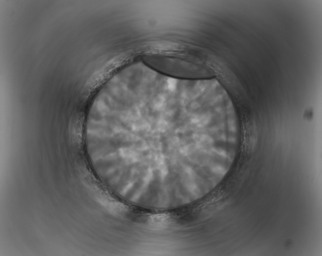 X0000114640309200912011055