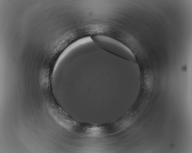 X0000114640312200912011055