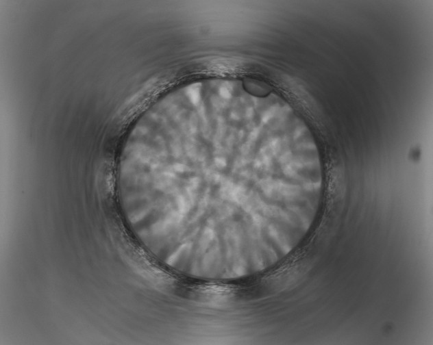 X0000114640313200912011055