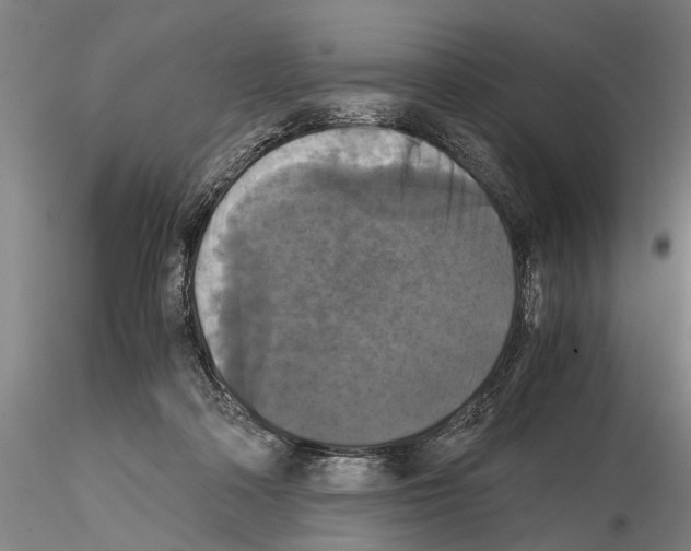 X0000114640314200912011055