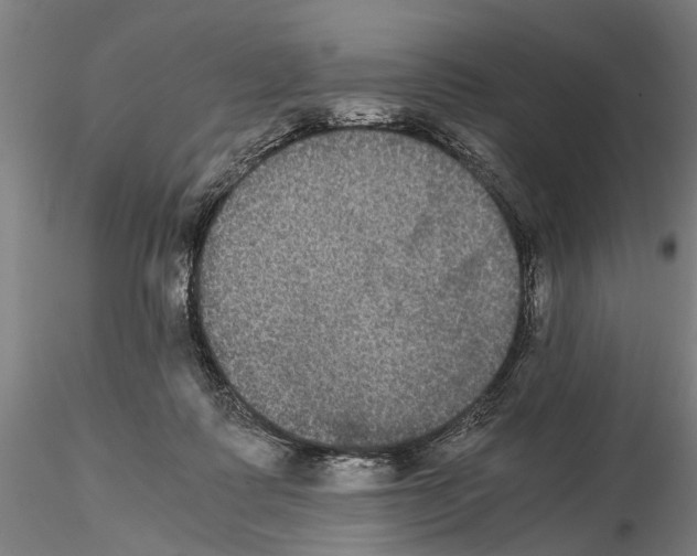 X0000114640315200912011055