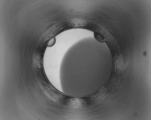 X0000114640316200912011055