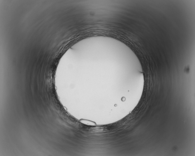 X0000114640320200912011054