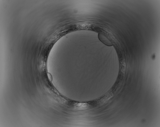 X0000114640324200912011054