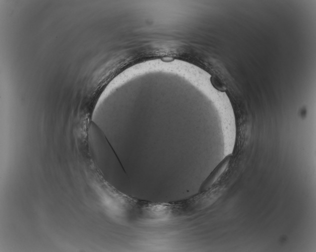 X0000114640325200912011054