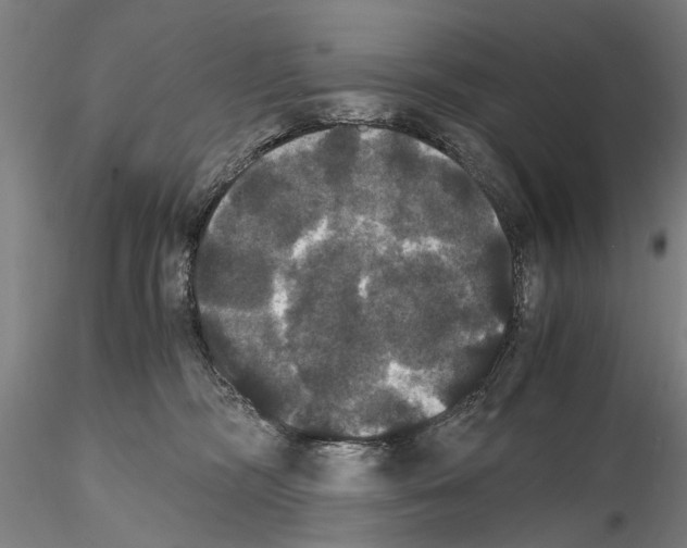 X0000114640326200912011054