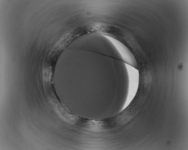 X0000114640328200912011054