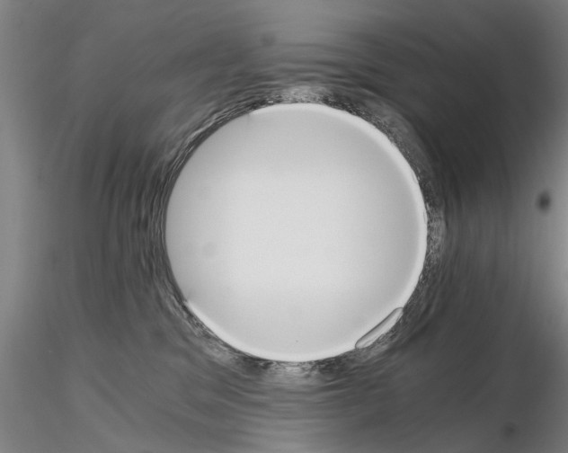 X0000114640329200912011054