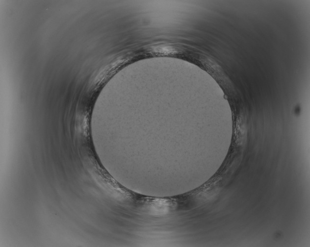 X0000114640330200912011054