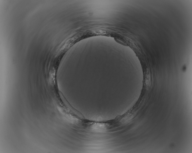 X0000114640332200912011054