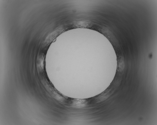 X0000114640334200912011054