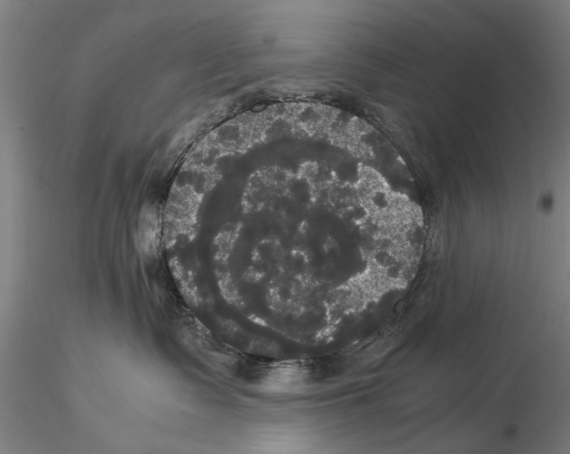 X0000114640335200912011054