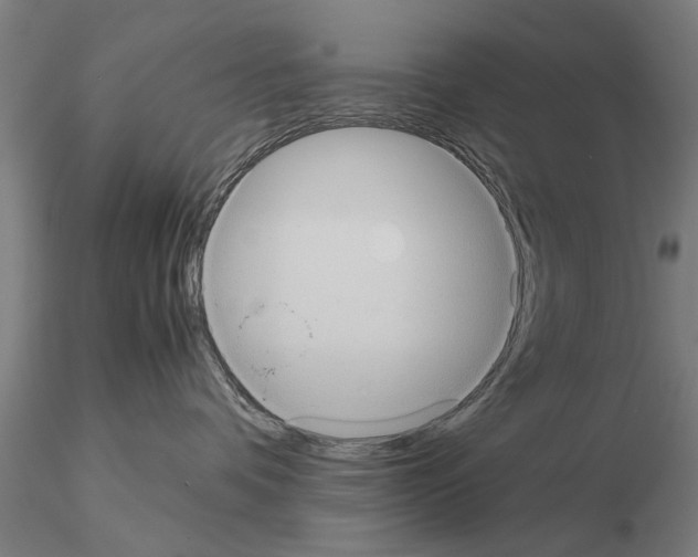 X0000114640336200912011054