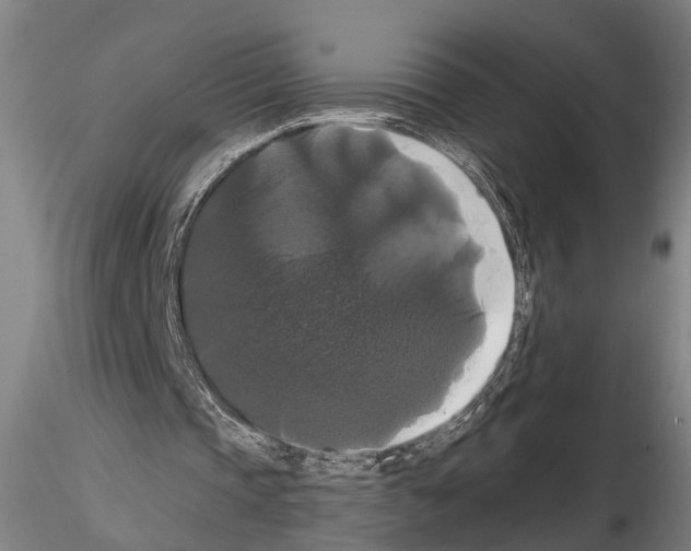 X0000114640337200912011054