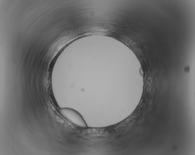 X0000114640338200912011054