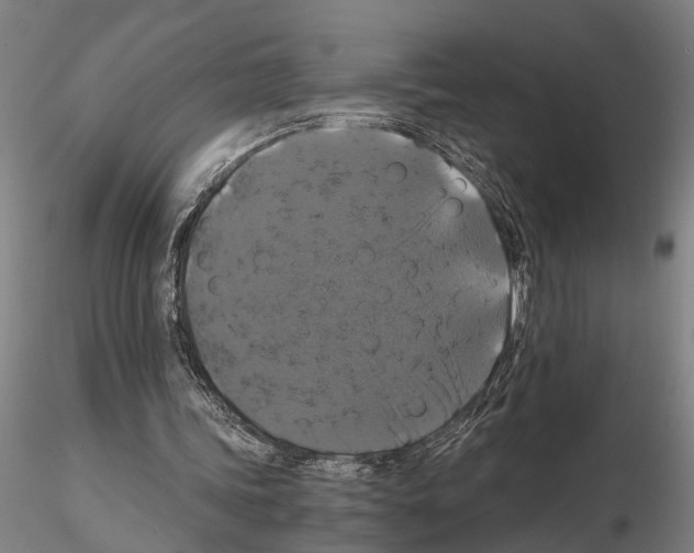 X0000114640339200912011054