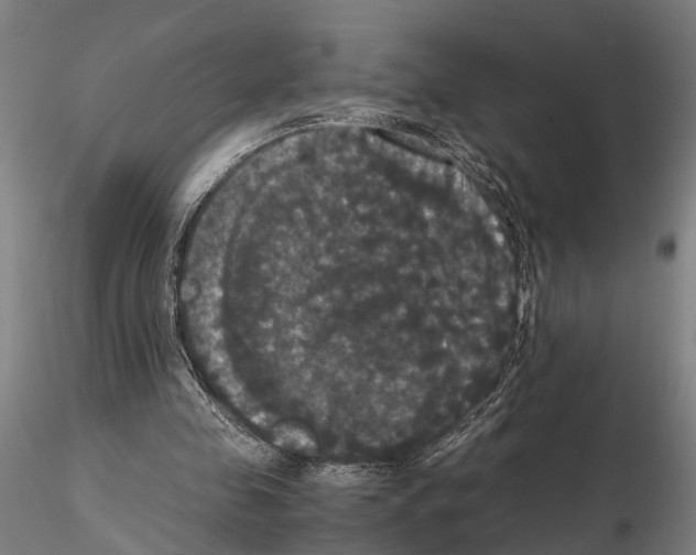 X0000114640341200912011054