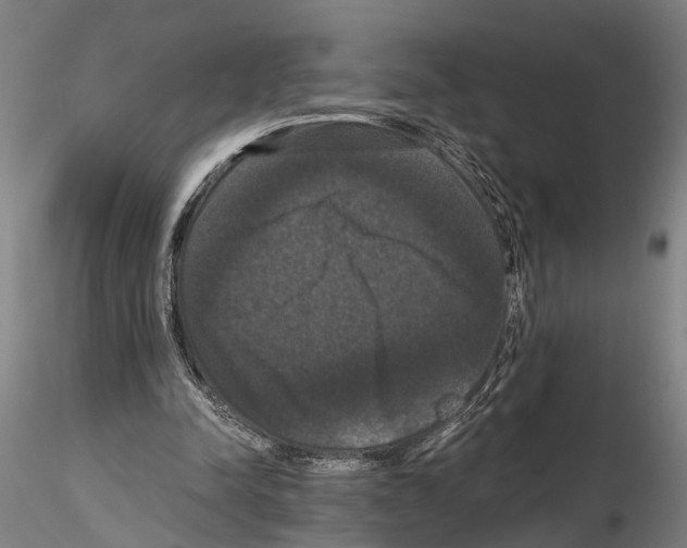 X0000114640342200912011054