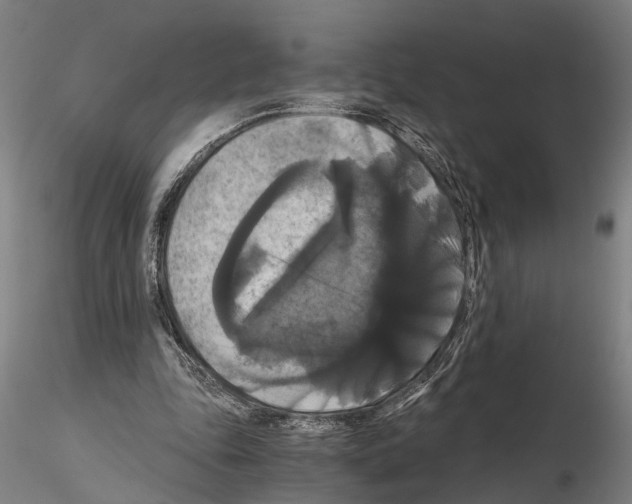 X0000114640343200912011054