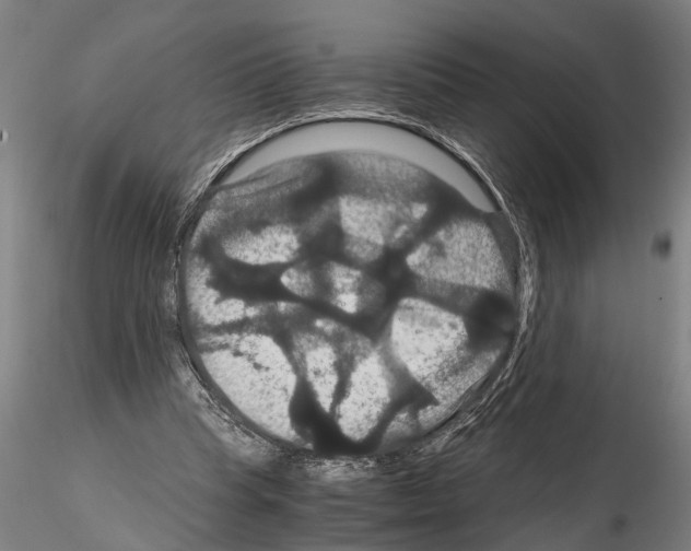 X0000114640345200912011054