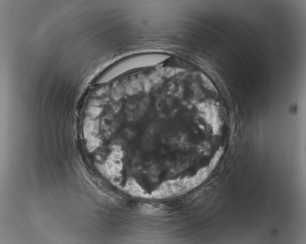 X0000114640346200912011054