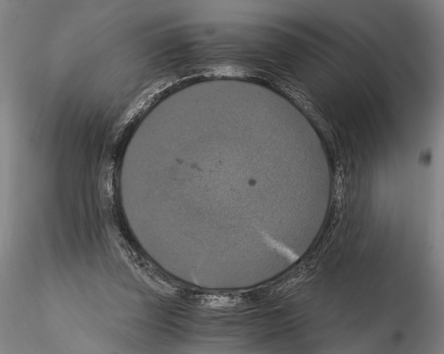 X0000114640347200912011054